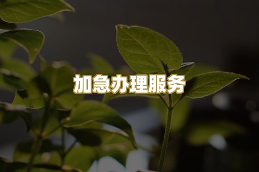 加急办理服务